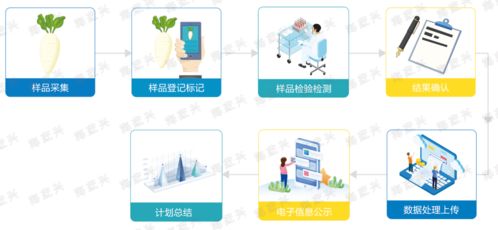 食品安全快检服务 以基础软件服务为核心的技术革新与行业赋能