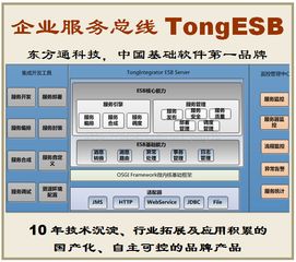 东方通tongesb 自主化企业服务总线，诚邀客户、伙伴与渠道合作共赢